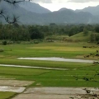 Panorama Bukik Sigaluang